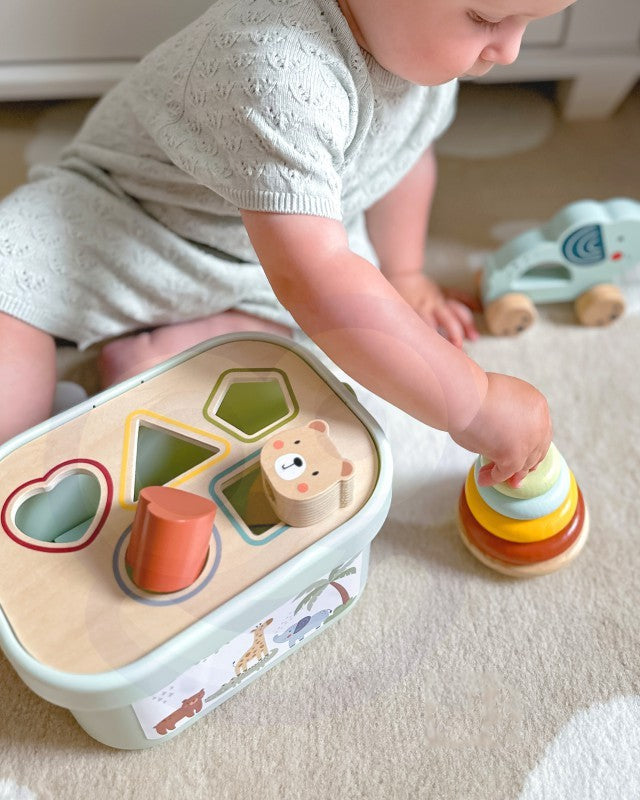 3in1 Toy Box - Sorting Blocks, Stackable Pyramid and Elephant On Wheels