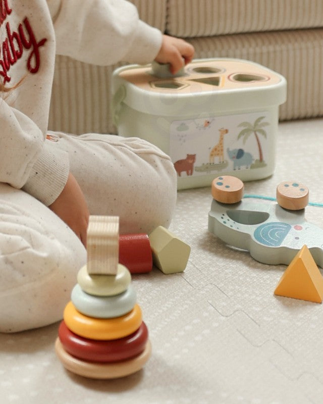 3in1 Toy Box - Sorting Blocks, Stackable Pyramid and Elephant On Wheels