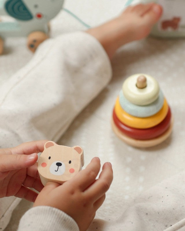 3in1 Toy Box - Sorting Blocks, Stackable Pyramid and Elephant On Wheels