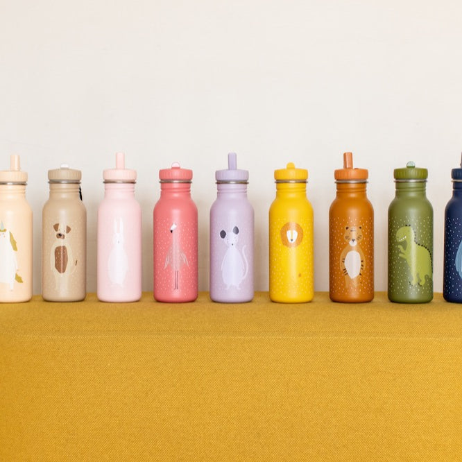 Stainless Steel Bottle 500 ml - Mr Dog