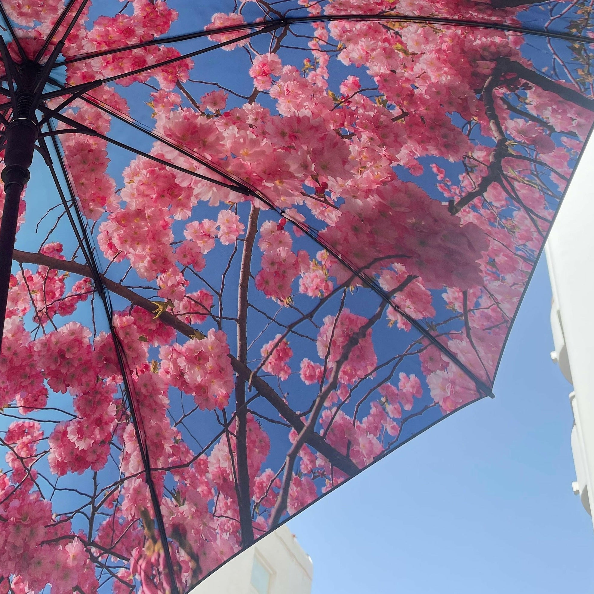 Large Cherry Umbrella – Windproof & UPF50+