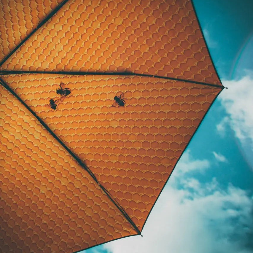 Honey Umbrella – Windproof & UPF50+ Protection