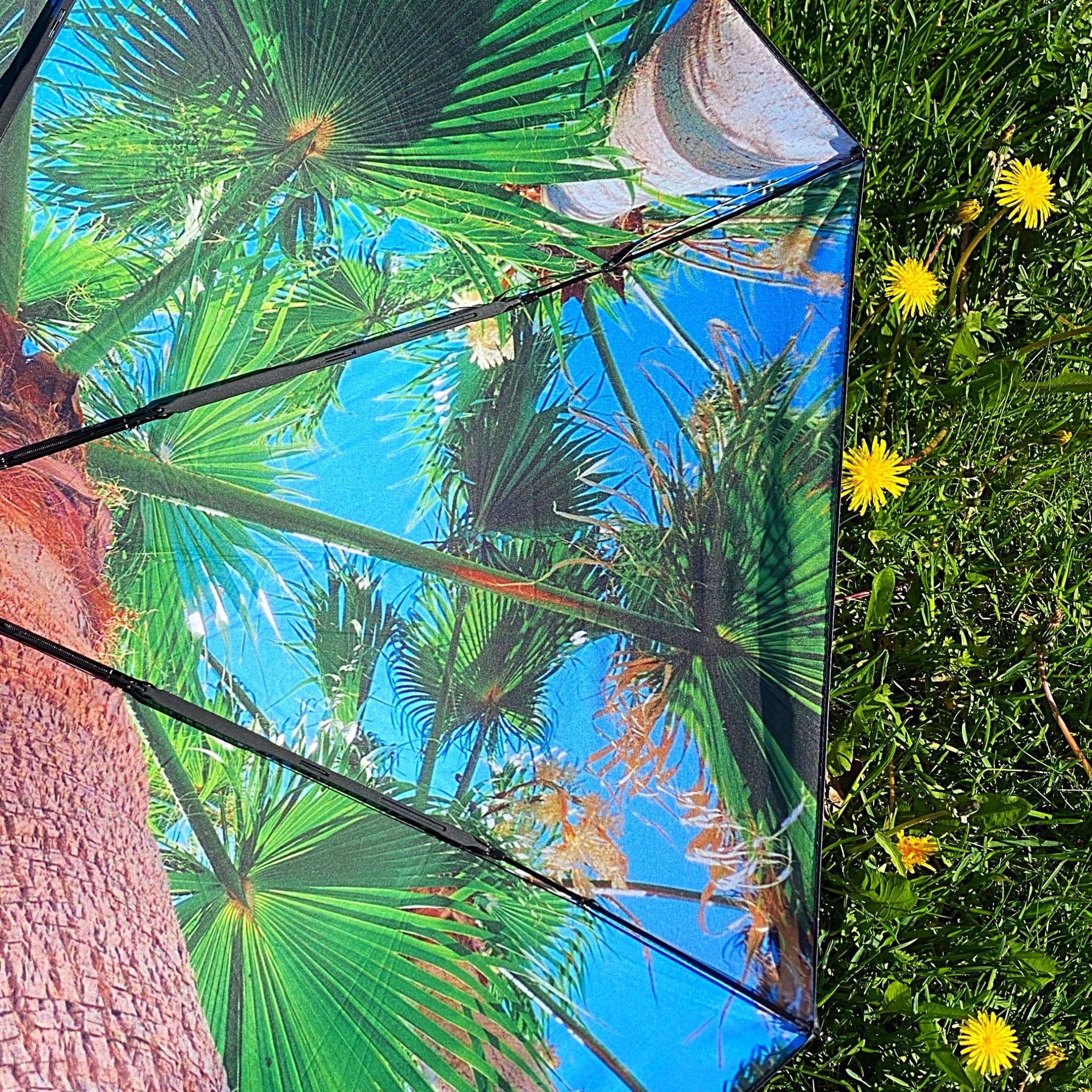 Paradise Umbrella – Windproof & UPF50+ Protection
