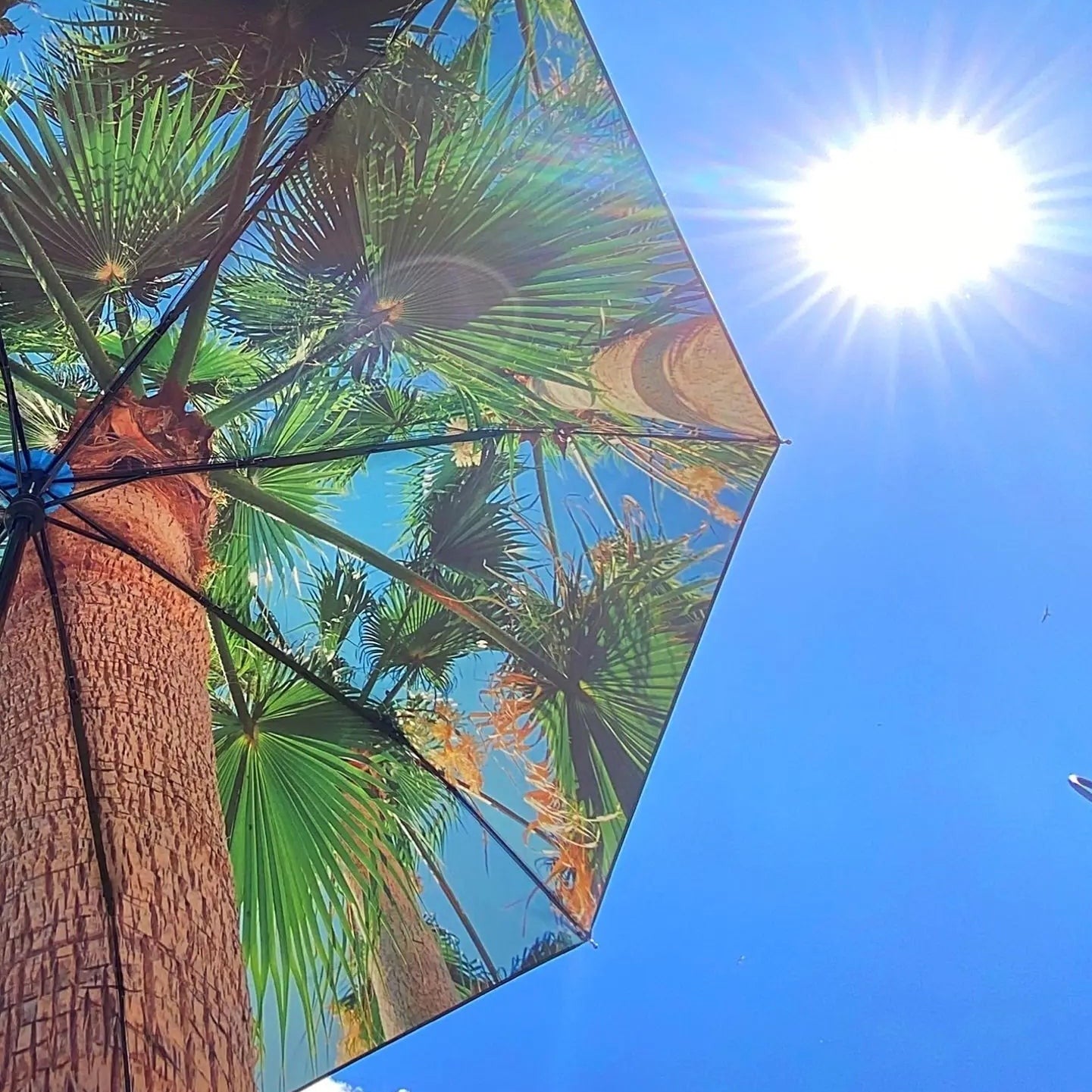 Paradise Umbrella – Windproof & UPF50+ Protection