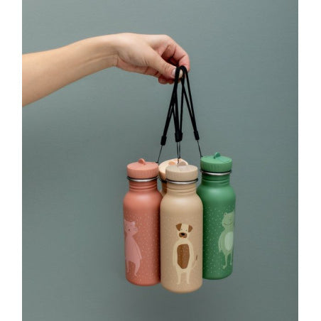 Stainless Steel Bottle 500 ml - Mr Dog