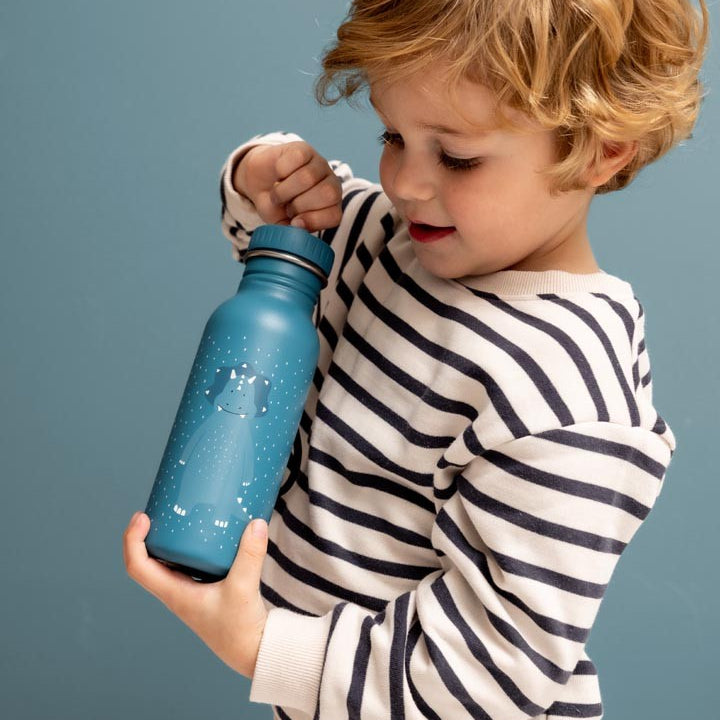 Stainless Steel Bottle 350 ml - Mr. Triceratops