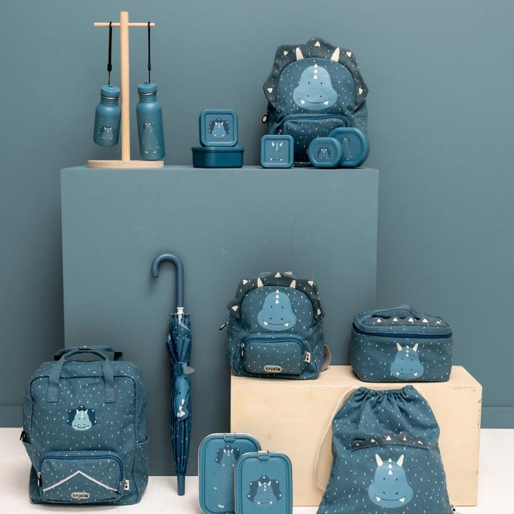 Stainless Steel Bottle 500 ml - Mr. Triceratops