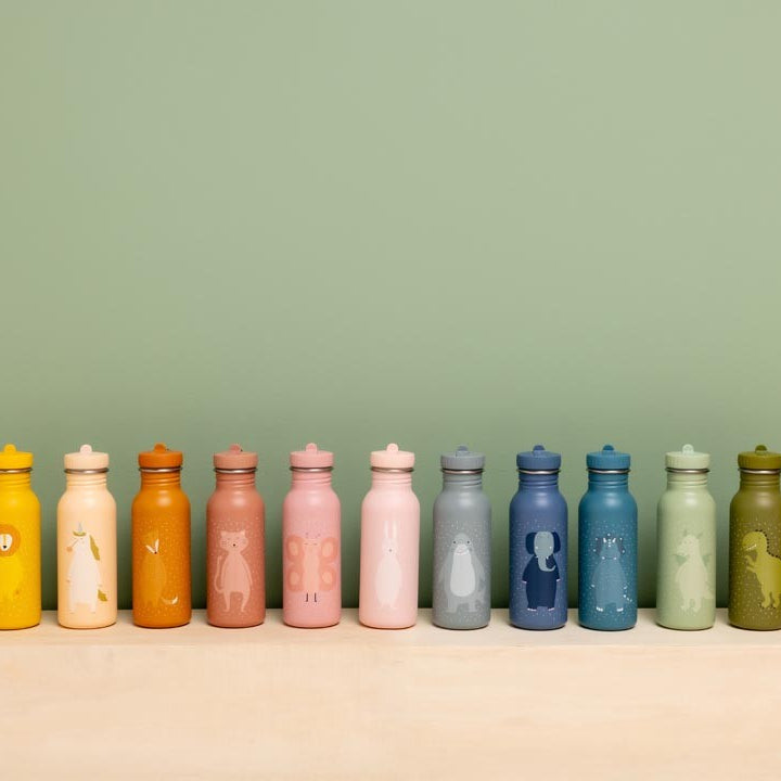 Stainless Steel Bottle 500 ml - Mr. Bear