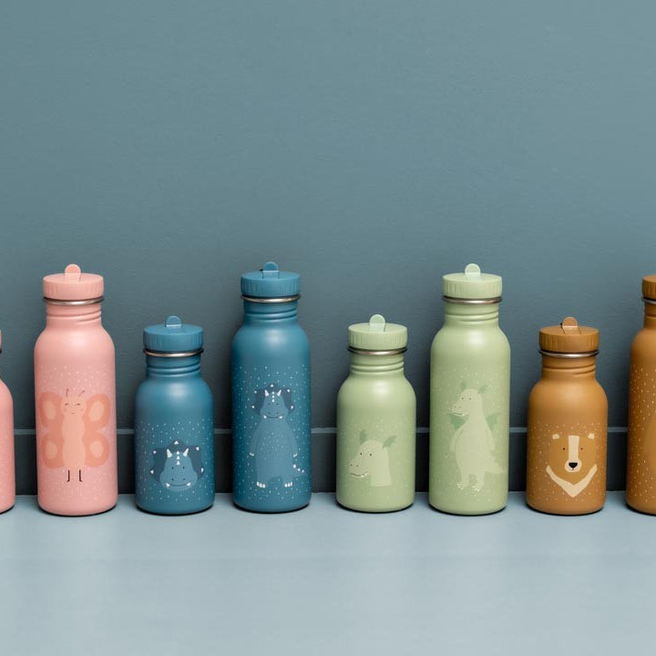 Stainless Steel Bottle 500 ml - Mr. Bear