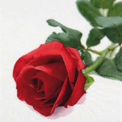Lautasliina "Red rose" 20 kpl - Decora House