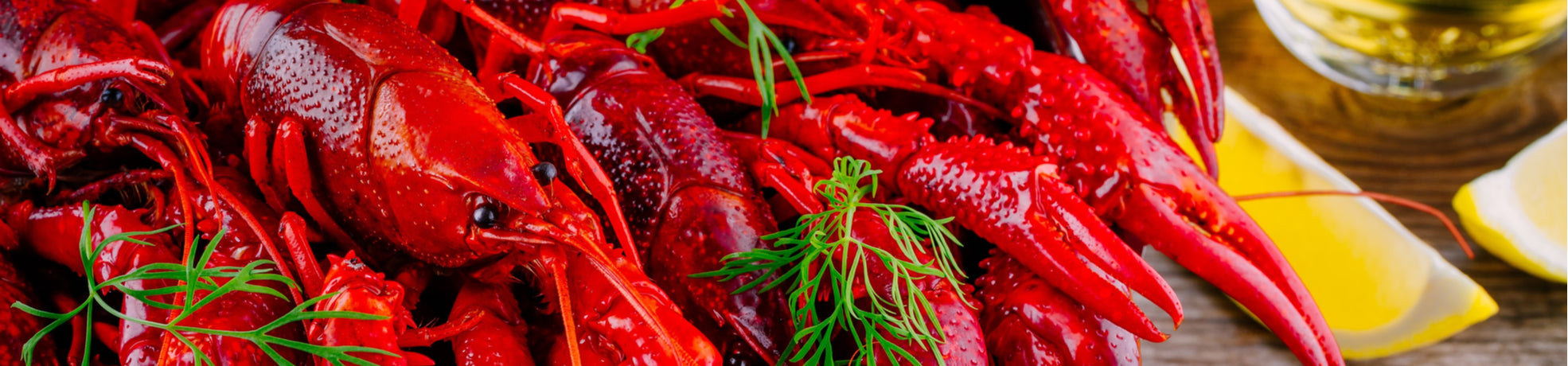 Rapujuhlat I Tilaa kattaustarvikkeet netistä