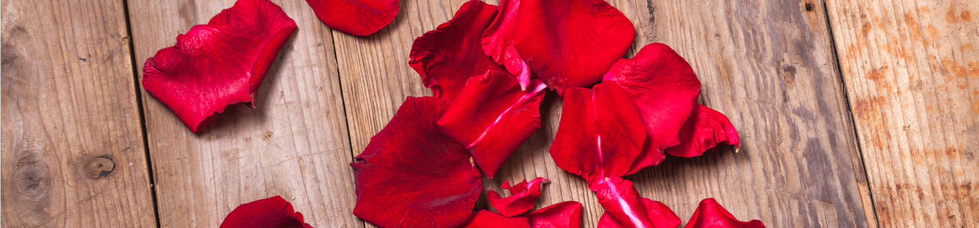 Ruusut ja ruusun terälehdet